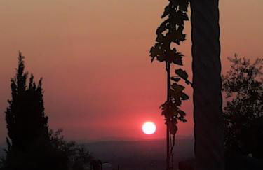 La Corte di Nonno - Foto 17