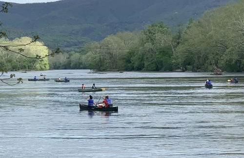 The Perch - Riverfront, Starlinks WiFi & Hot Tub - Photo 20