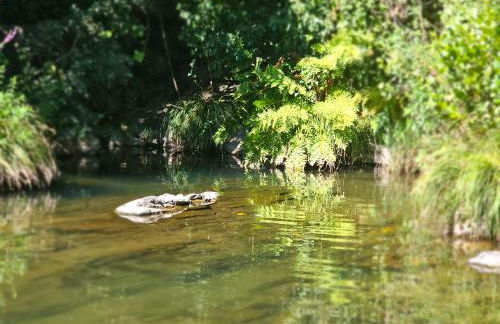 PampiHouse, casa de xisto junto ao rio - Foto 30