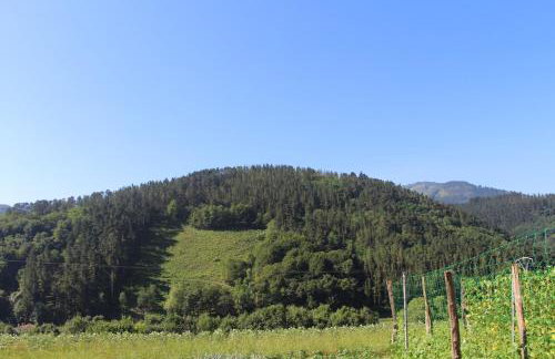 Balentziaga - Photo 27