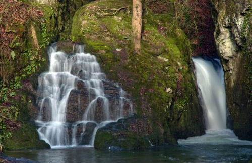 Cwtch Ffynnone Luxury Shepherds Hut - Foto 29