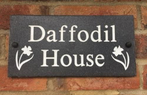 Daffodil House , West Wales - Foto 7