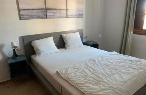 Modern House with large pool! - Photo 13