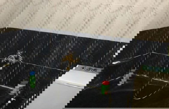 Villa Bianchi - Foto 20