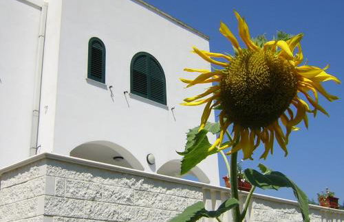 Azienda Agrituristica B&B La Torre - Photo 24