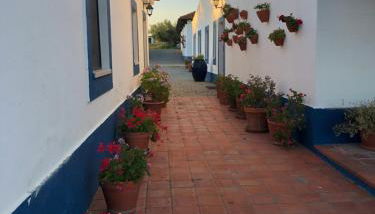 Casa de Campo, Quinta do Funchal - Foto 4