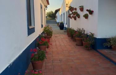 Casa de Campo, Quinta do Funchal - Foto 4