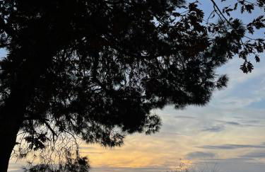 Casa Los Abuelos - Foto 39