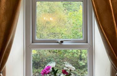 Llugwy Cottage - Foto 9