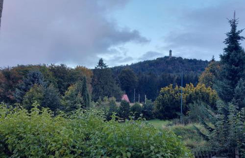 Apartment Räuberhauptmann Karasek by Interhome - Foto 34