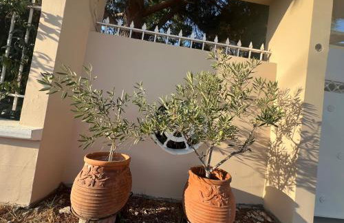 Sea & Sun Retreat - Photo 57