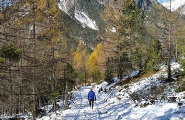 Casa Reit - Photo 54