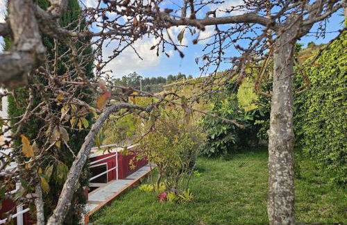 Villa River Ponta do Sol by Rentallido - Foto 30