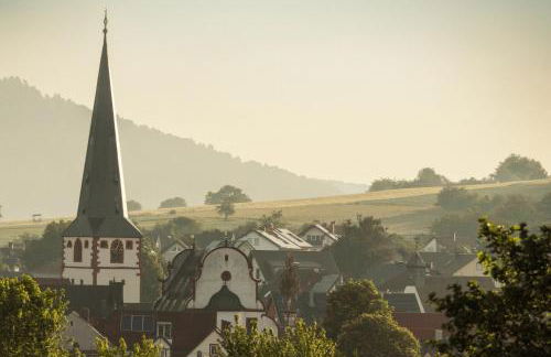 Bürgstadt, Am Bischof mit Sonnenterrasse, 1 bis 4 Betten - Foto 68