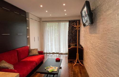 Studio tout confort au calme avec jardin proche Cannes - Foto 31