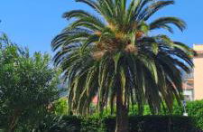 Raggio di Sole - Foto 19