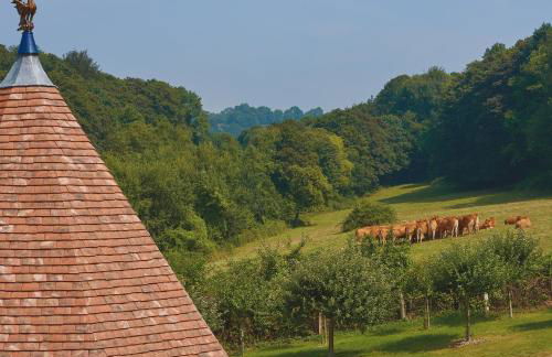 La porte bleue - Photo 12