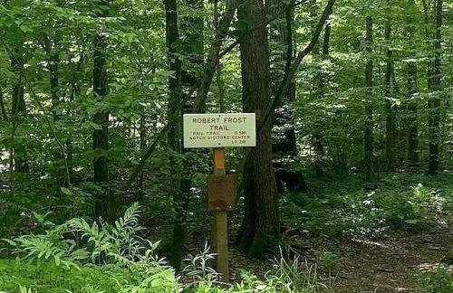 Amherst Woodland Escape - Foto 26