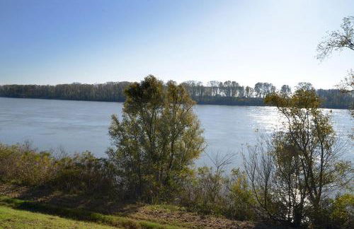 Affitto Breve Rovigo La Casa sul Grande Fiume Po di Nadine - Foto 25