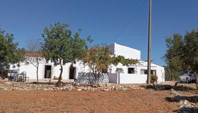 Casas Girasol - Foto 3