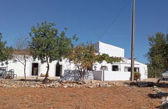 Casas Girasol - Foto 3