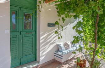 Sempreviva - Foto 73