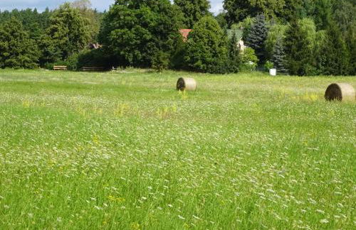 Ferienanlage Waschbär Country - Photo 29