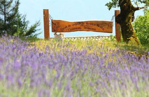 Cominium Benessere - Foto 10