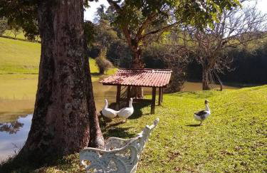 Celeiro Verde - Foto 10