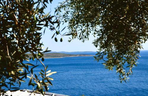 Holiday Home Babič - Foto 15