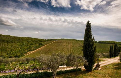 Querceto di Castellina - Foto 92