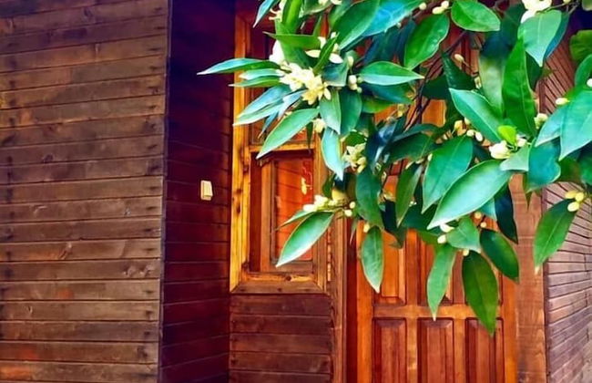 Sheriff Olimpos - Photo 3