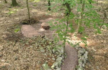 Harmony in the Woods - Foto 34