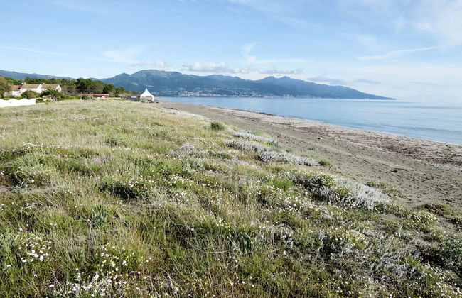 Les Chênes - Foto 21