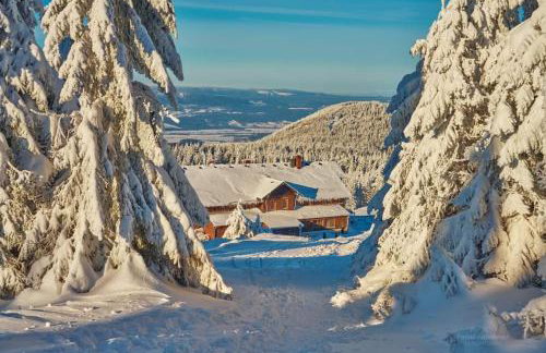 Agroturystyka,, Ranczo Kruszynki" - Foto 14