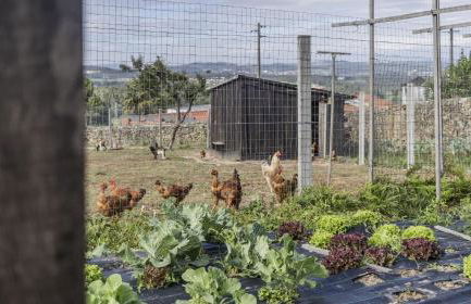 Quintinha Sao Martinho Luxury 2 Suites Villa Eira with Jacuzzi - Foto 53