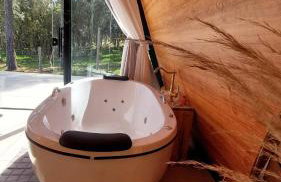 Chalé Araucárias Cambará do Sul - Foto 15