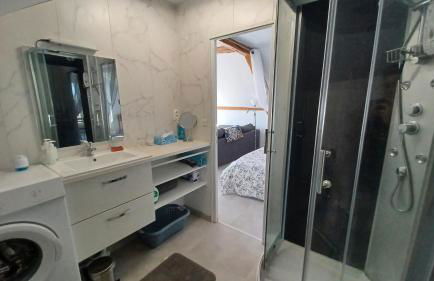 L'appel de la foret - Foto 5