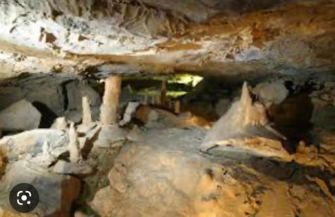 Rose Garden - Foto 39