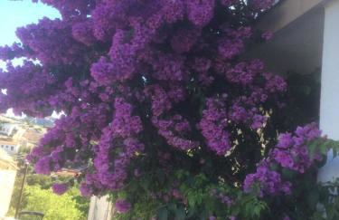 Apartment Marica - Foto 16