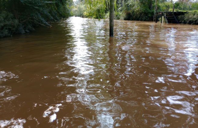 Cabaña del humedal - Foto 4