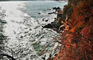 Agrumeto Costa dei Trabocchi - Foto 22