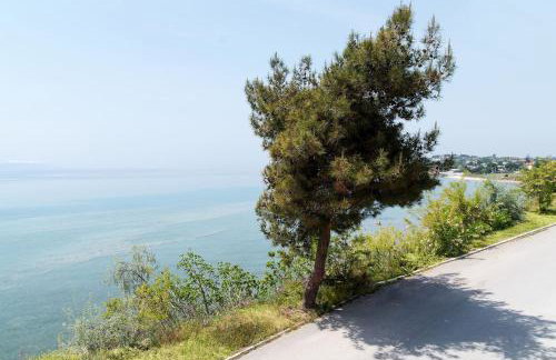 Villa Alexandra - Foto 26