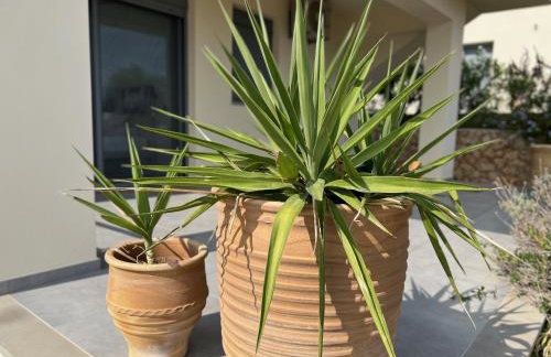 Luxurious villa at a unique spot - Foto 51