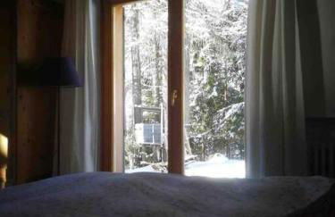 LA VOCE DEL BOSCO Selva di Cadore - Foto 9