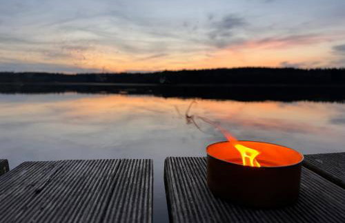 Forest Mood - Foto 73