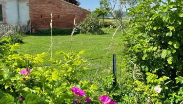 Gîte Casafamilia - Nature et sérénité - Foto 4