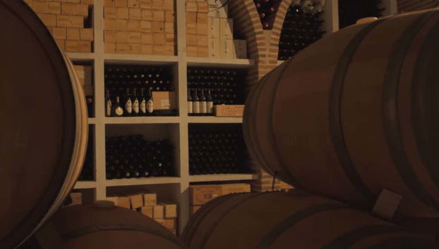 Alla scoperta dei migliori vini della zona