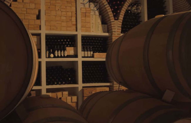 Degustazione di vino, formaggio e olio alla cantina Matarromera - Foto 3