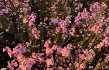 Magnifique vue sur la mer ... - Foto 78